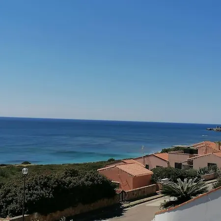 Belvedere Windsurf