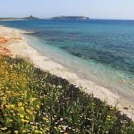 Holiday home Belvedere Windsurf *