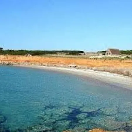 Belvedere Windsurf *
